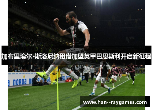 加布里埃尔·斯洛尼纳租借加盟英甲巴恩斯利开启新征程 加布里埃尔·斯洛尼纳租借加盟英甲巴恩斯利开启新征程